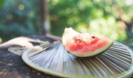 免费吃瓜入口最新事件